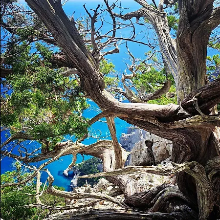 Accogliente Bilocale Tra Mare E Monti Appartamento *